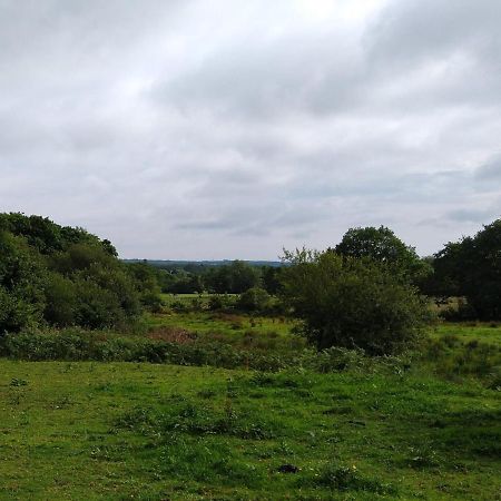 Blackberry Patch Hotel Pontyates Luaran gambar