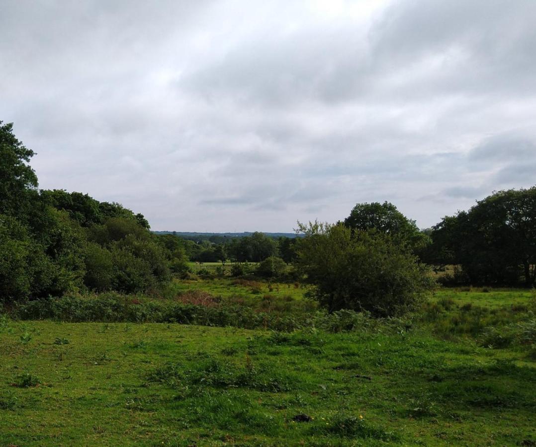 Blackberry Patch Hotel Pontyates Luaran gambar
